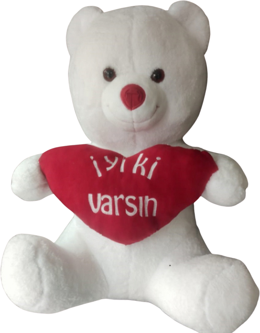 İyi ki varsın Ayıcık